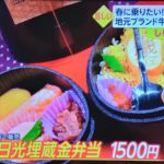 SL大樹日光埋蔵金